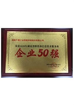 2020年湖南軟件和信息技術(shù)服務(wù)業(yè)企業(yè)50強(qiáng)